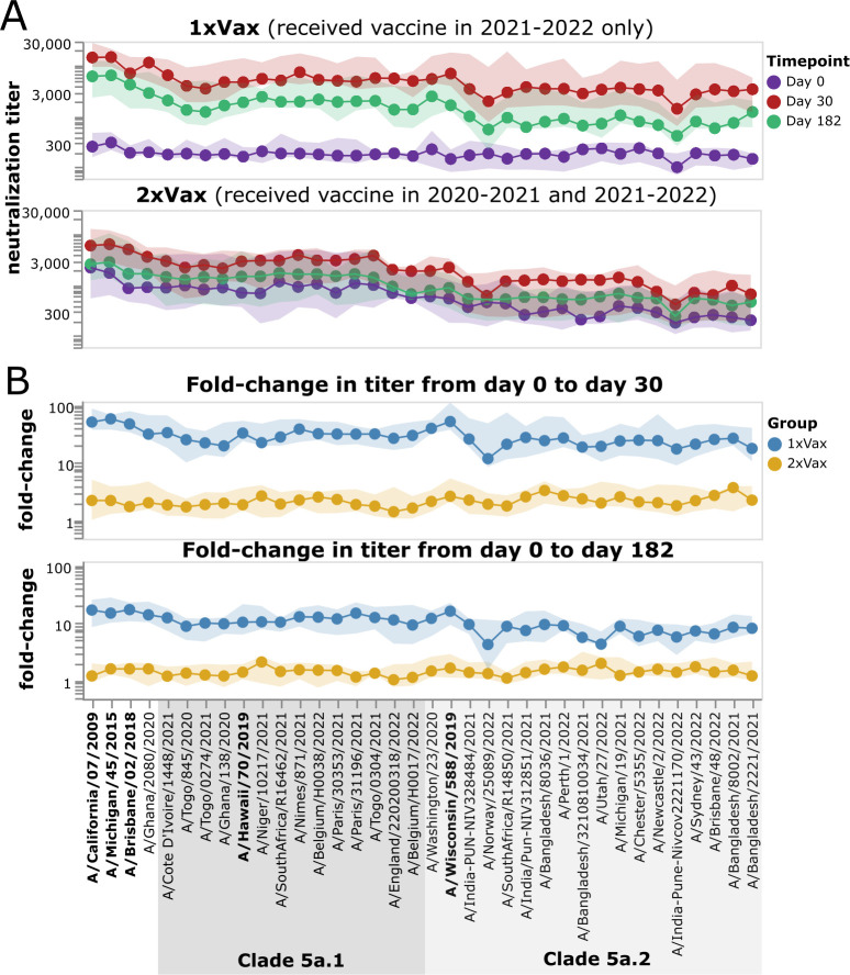 Line plots compare neutralization titers of 1xVax and 2xVax groups over time points. Fold-change graphs depict changes in titers from days 0 to 30 and day 0 to 182 across influenza strains, categorized into Clade 5a.1 and 5a.2.