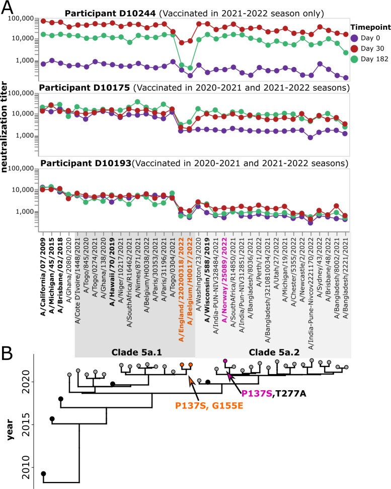 Neutralization titers for three participants are depicted across various influenza strains. The phylogenetic tree highlights Clades 5a.1 and 5a.2 with key mutations annotated at specific branches.