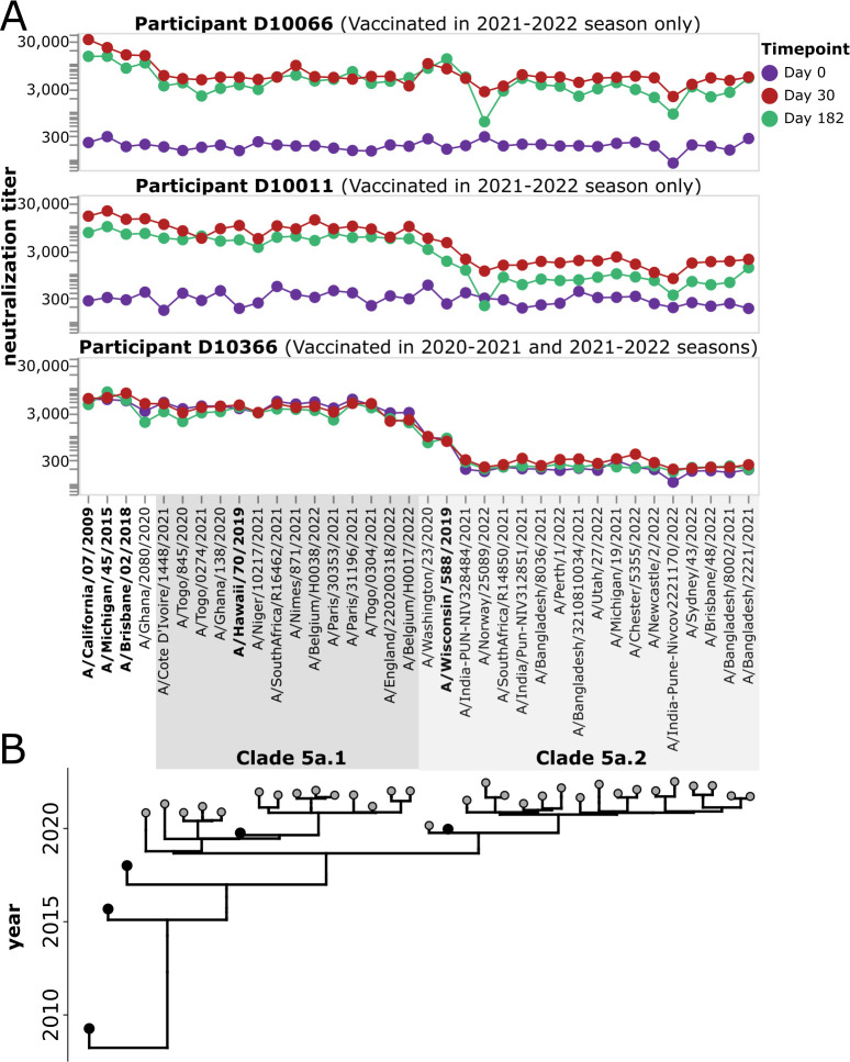 Line plots depict neutralization titers across different strains for three vaccinated participants pre-vaccination, as well as 30 and 182 days post-vaccination. The phylogenetic tree on the bottom depicts Clade 5a.1 and Clade 5a.2 viruses.