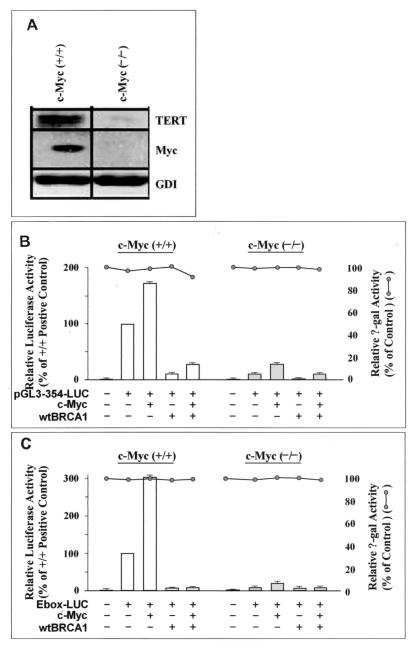 FIG. 8.