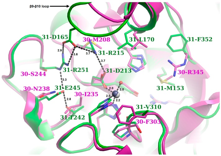 Figure 9