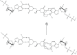 Figure 9.