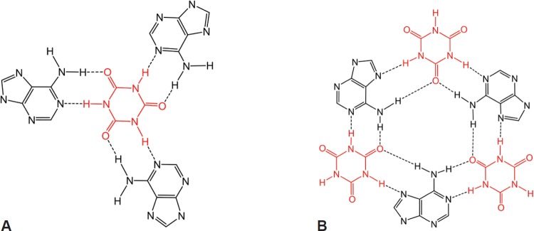 Figure 13.