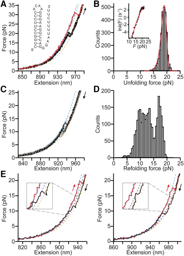 FIGURE 4.