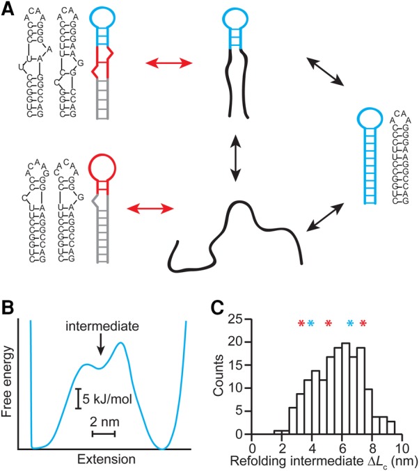 FIGURE 5.