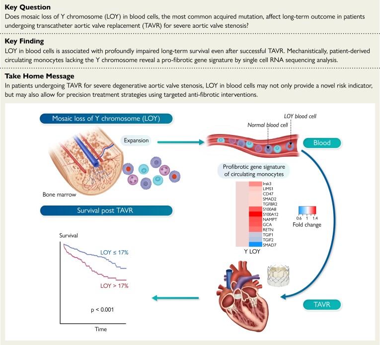 Structured Graphical Abstract