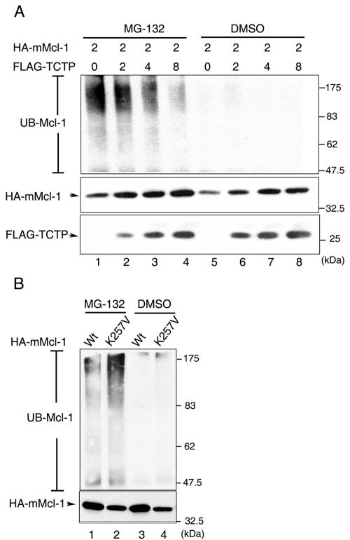 FIG. 9.