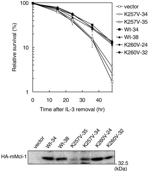 FIG. 8.