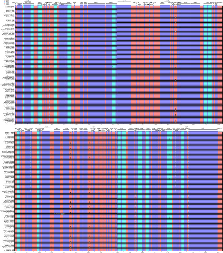 Fig. 3