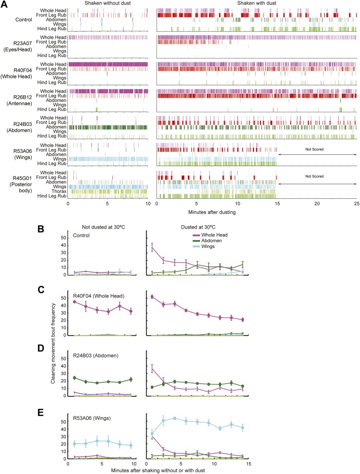 Figure 3—figure supplement 2.