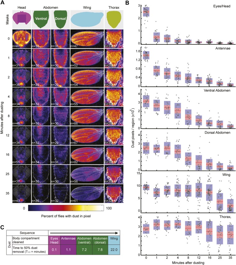 Figure 1—figure supplement 3.