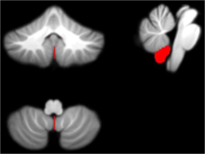 Fig. 8