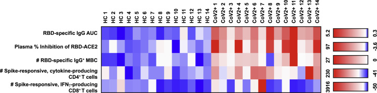 Figure 5