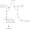 FIGURE 13.