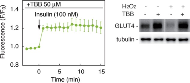 Figure 6F