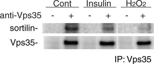 Figure 6E