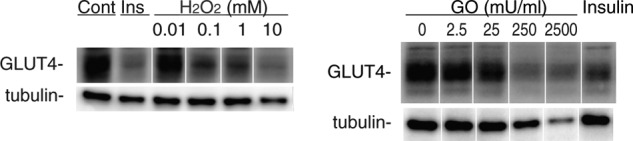 Figure 6C