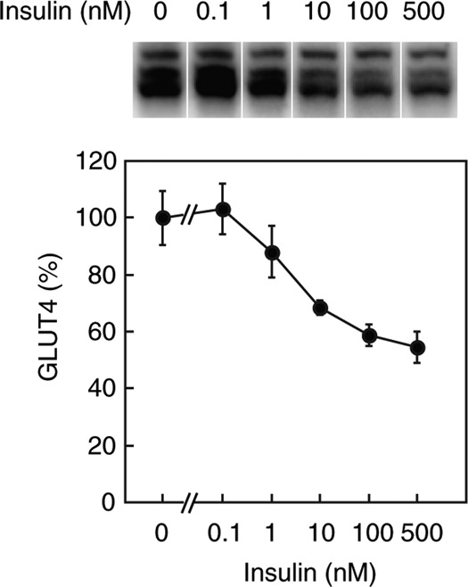 Figure 1A