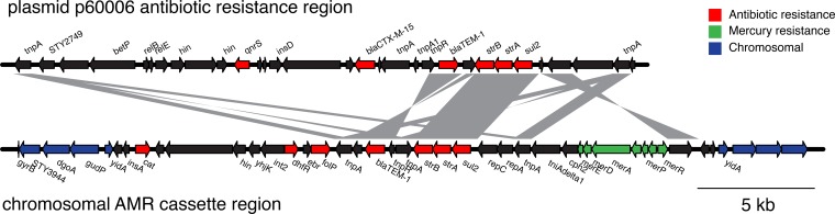 FIG 2 