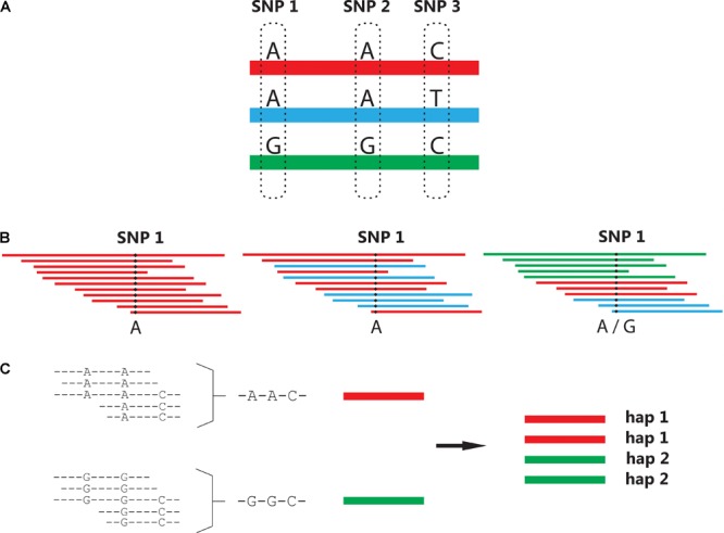 FIGURE 2