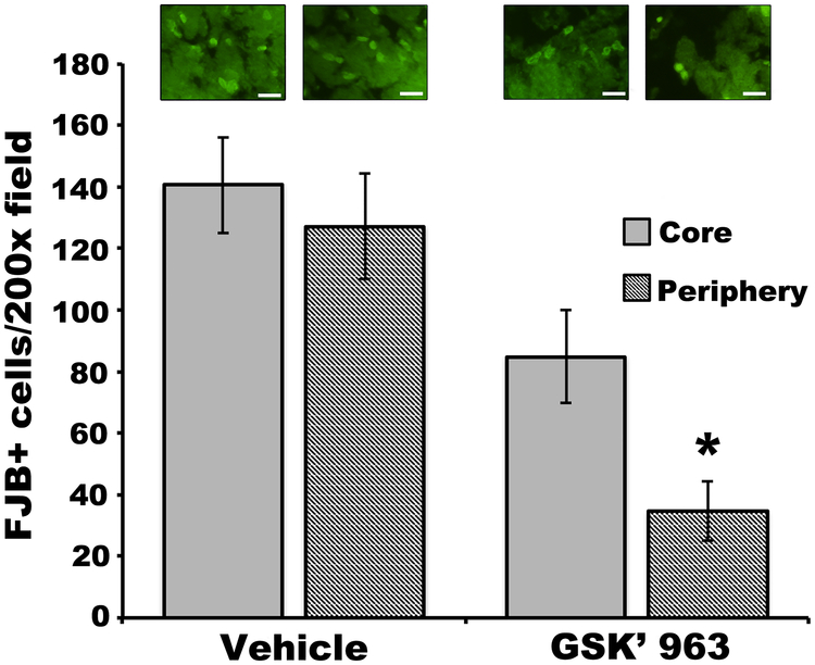 Figure 5: