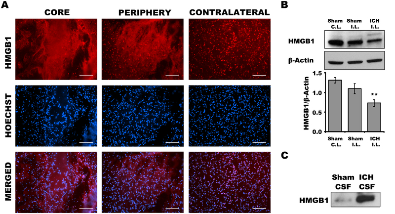 Figure 2: