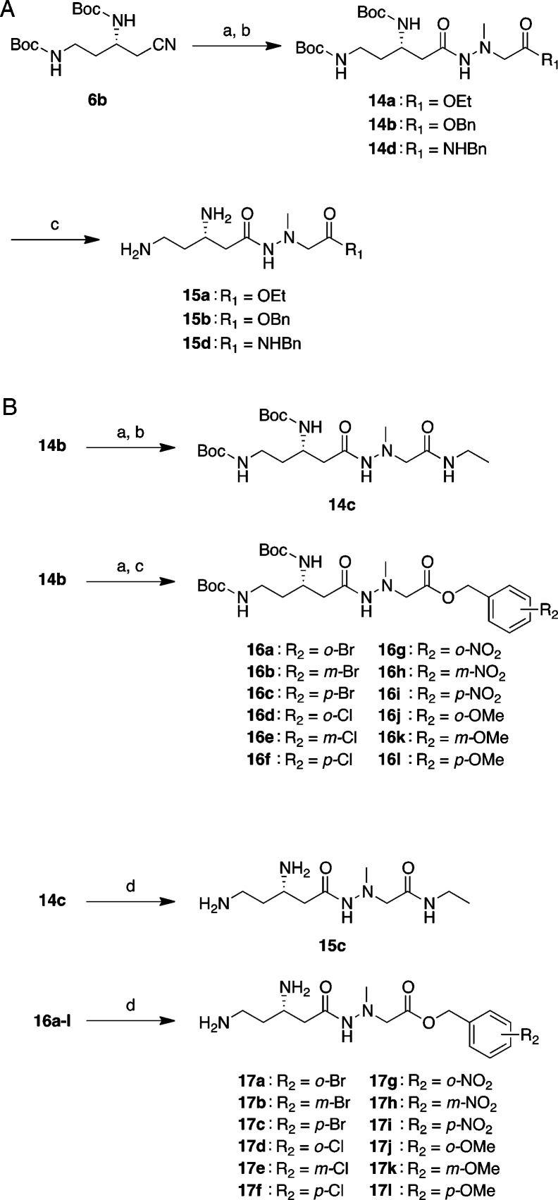 Scheme 2