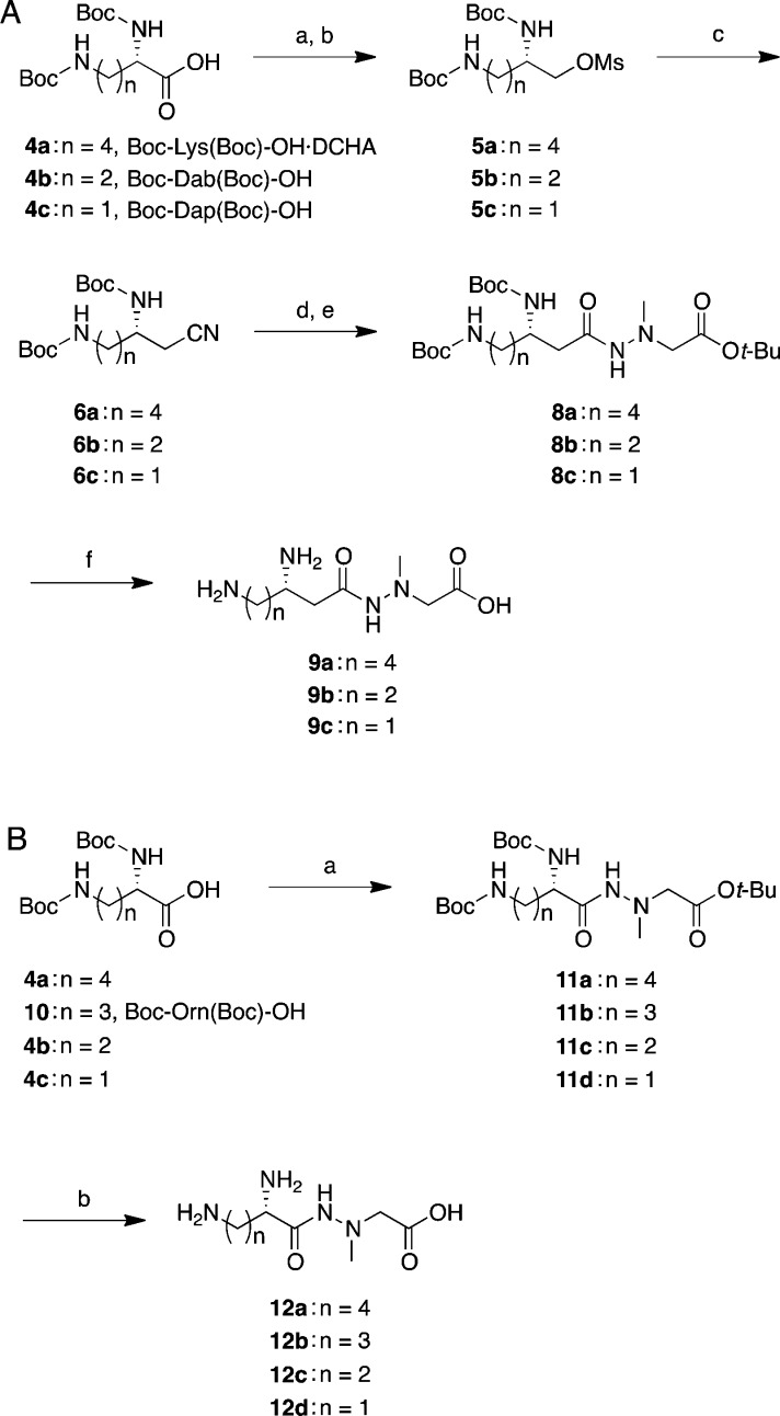 Scheme 1