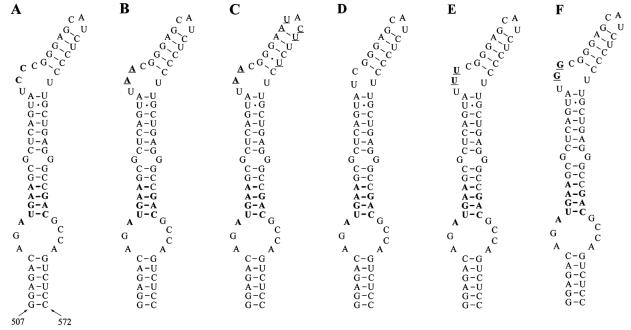 FIG. 4.