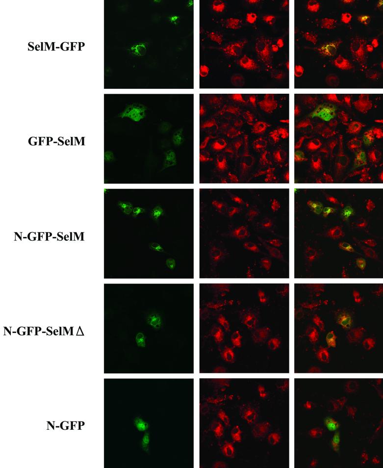 FIG. 7.