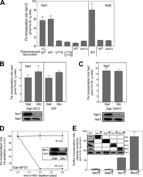 FIGURE 6.