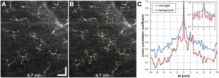 Fig. 3.