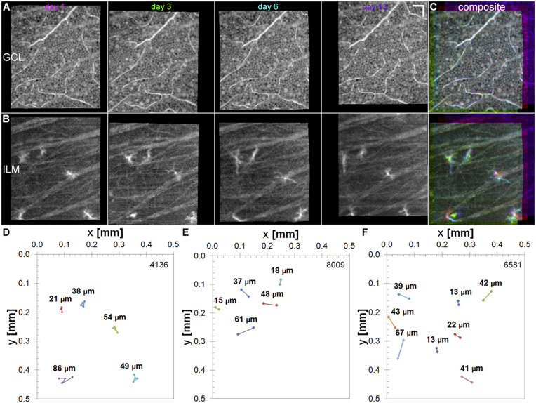 Fig. 4.