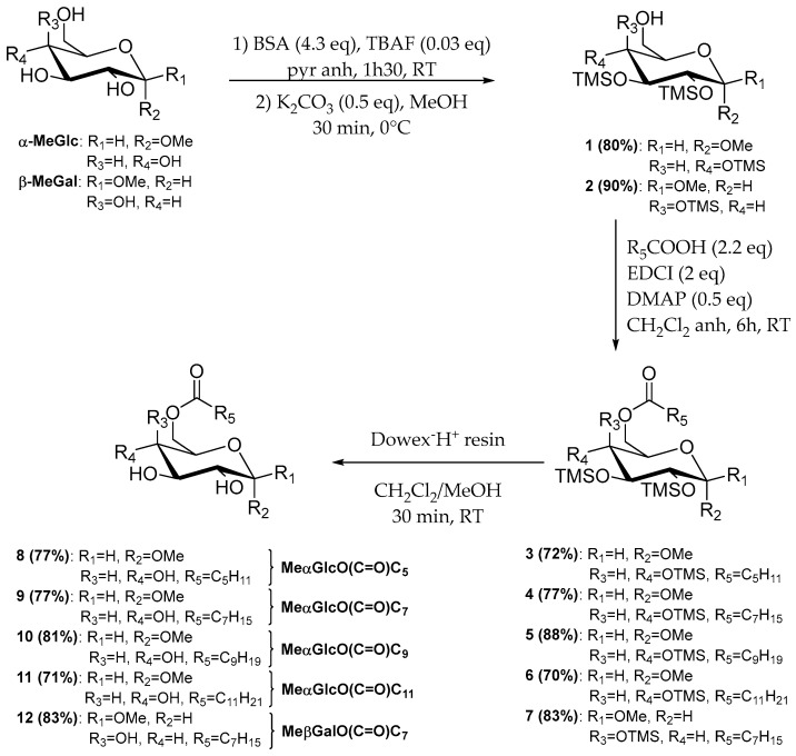 Scheme 1