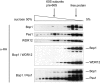 FIG. 9.