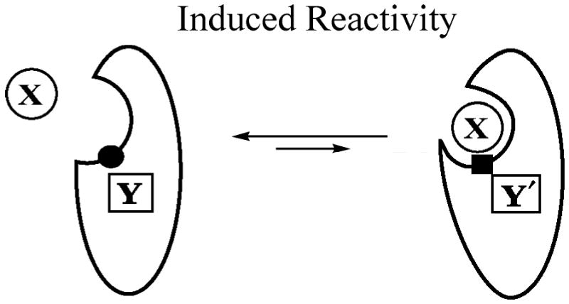 Scheme 5