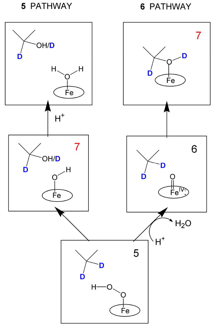 Scheme 2