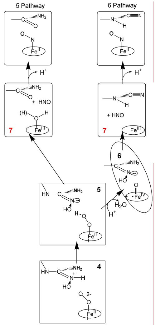 Scheme 4