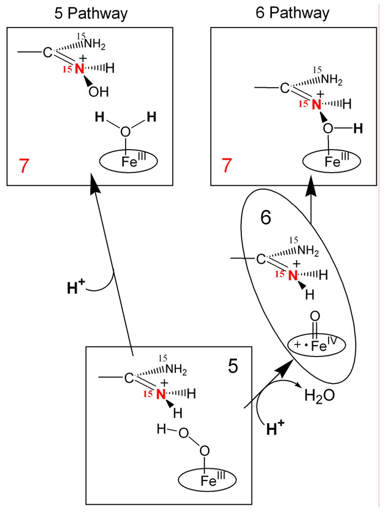 Scheme 3