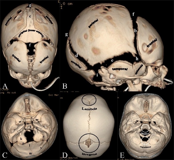 Figure 1(A-E):