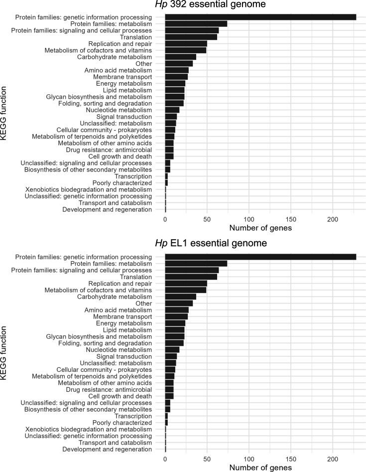 Bar graphs display the number of genes in various functional categories for the essential genomes of two strains, Hp 392 and Hp EL1. Categories include genetic information processing, metabolism, cellular processes, signaling, and more.