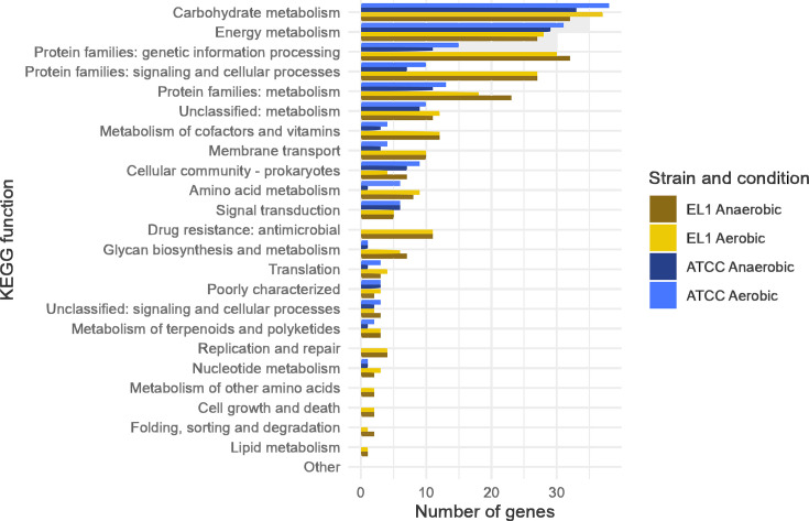 Bar graph compares the number of genes in various KEGG functional categories for strains EL1 and ATCC under anaerobic and aerobic conditions. Graph highlights differences in gene counts across different conditions and strains.