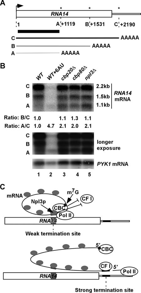 FIG. 7.