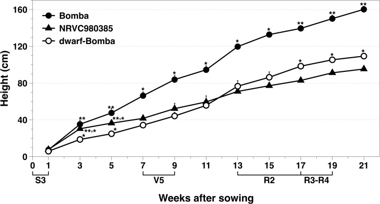 FIGURE 3