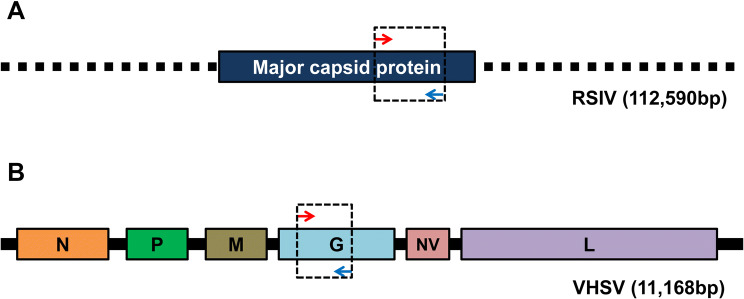 Fig. 1