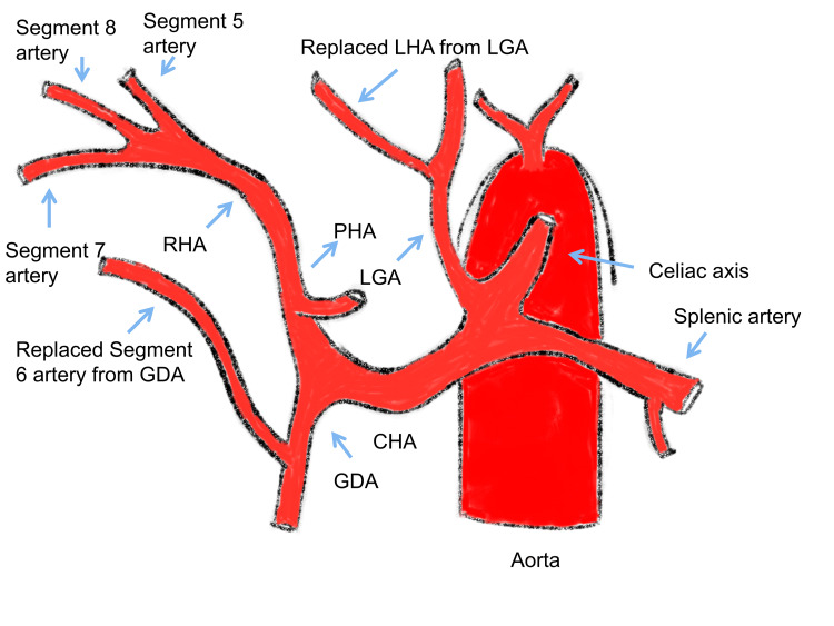 Figure 7