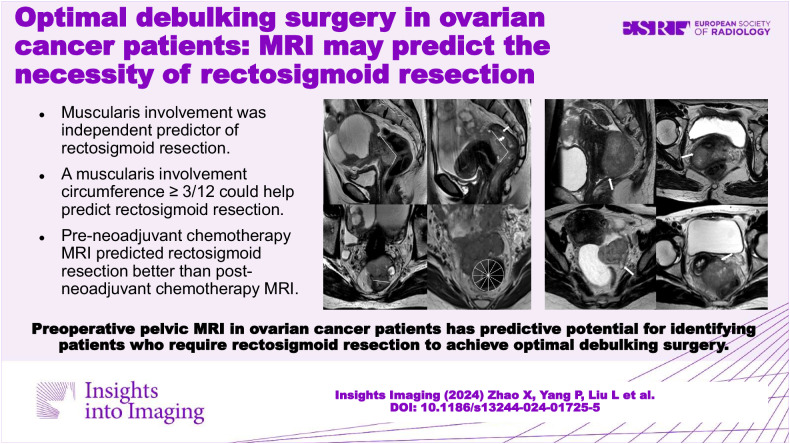 graphic file with name 13244_2024_1725_Figa_HTML.jpg