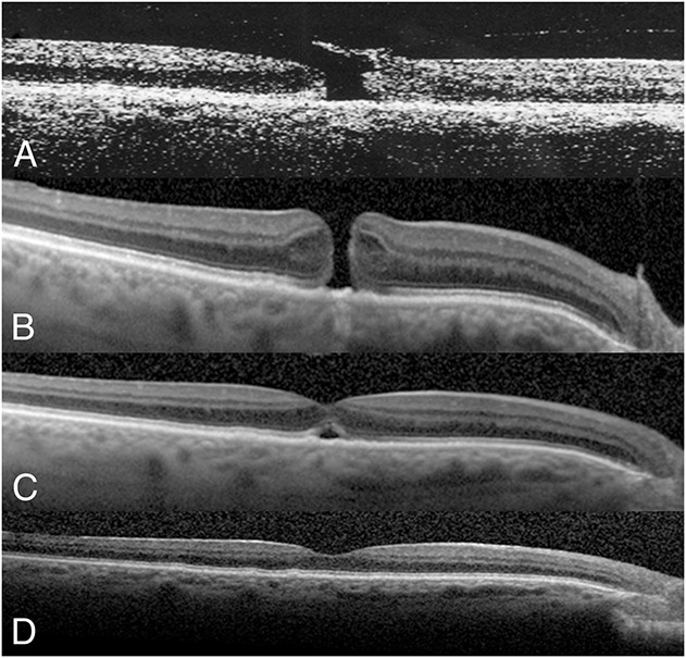 Fig. 3.