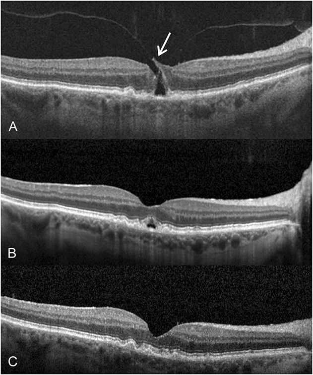 Fig. 2.