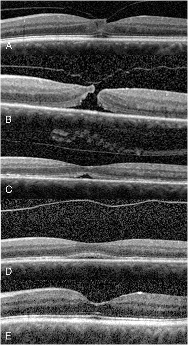 Fig. 4.